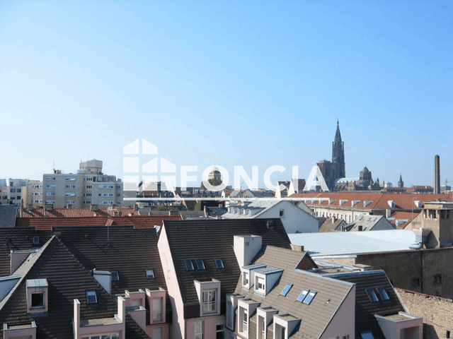 Appartement 2 pièces (47.45 m²) à louer - Strasbourg (67000)