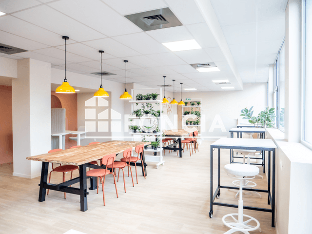 Studio meublé (16.98 m²) à louer - Orleans (45100)