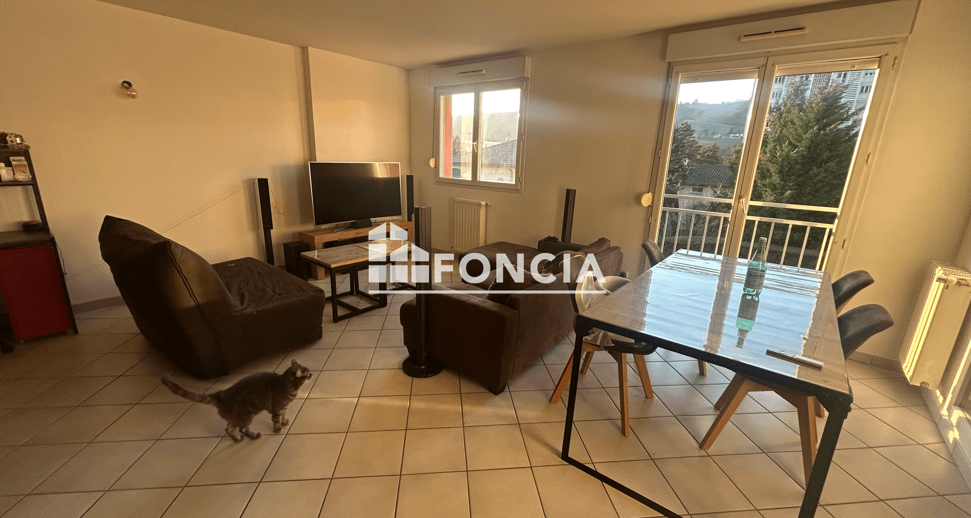 Appartement 3 pièces (82.92 m²) à louer - Vienne (38200)