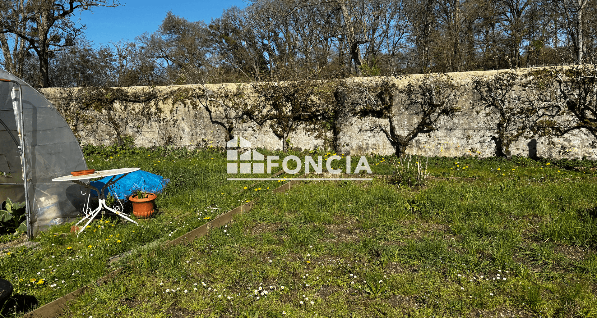 Maison 1 pièce (21 m²) à vendre - Sillé-le-guillaume (72140)