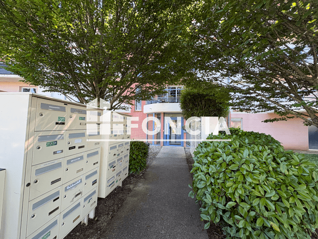 Studio (24.8 m²) à louer - Gaillac (81600)