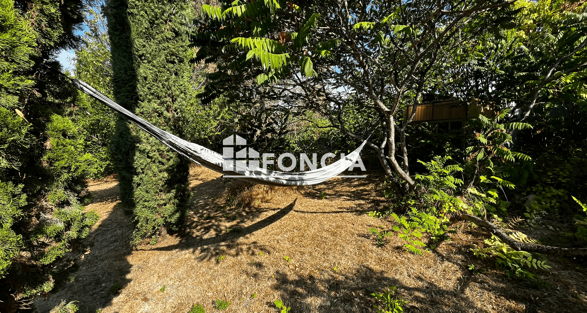 Maison 9 pièces (220 m²) à vendre - Cagnac-les-mines (81130)