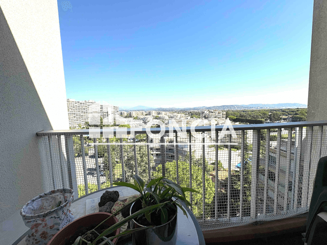 Studio meublé (27.64 m²) à louer - Mandelieu-la-napoule (06210)